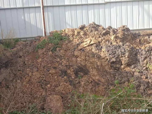 滑縣小鋪鄉大武莊照喜新型墻體材料廠污染環境，室內環境亟待治理