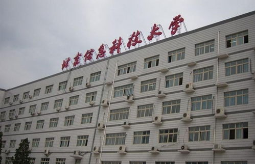 青春奉獻，科技賦能——記北京信息科技大學青年志愿者協會的信息技術咨詢志愿服務